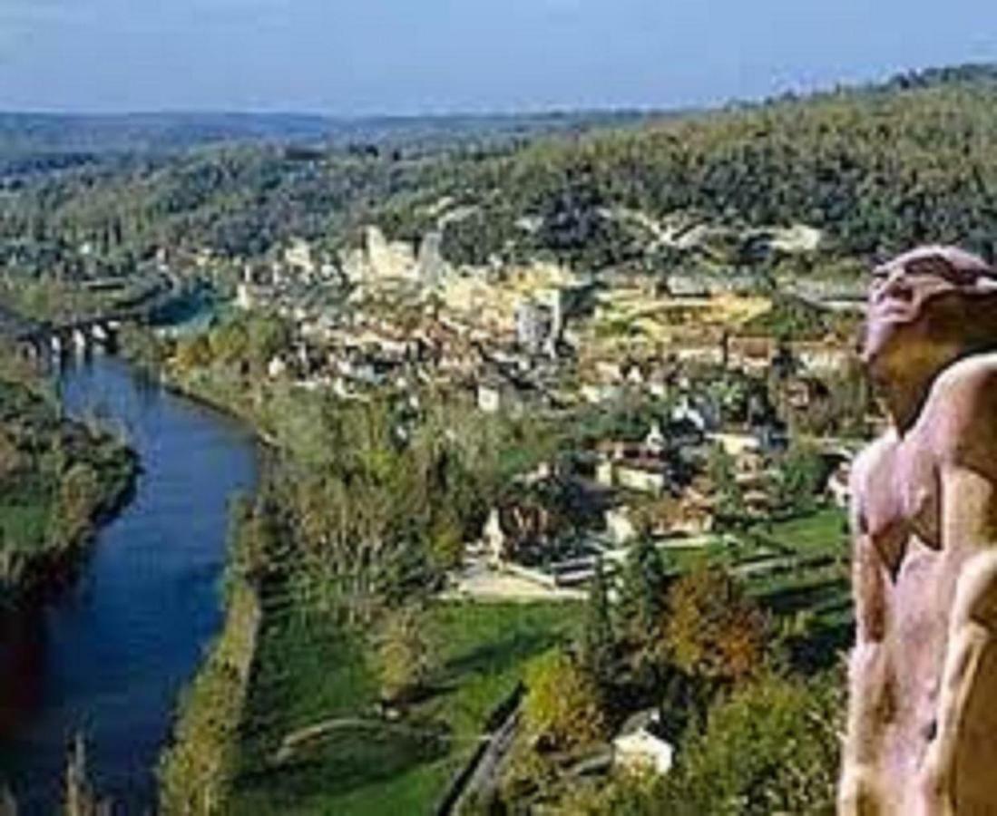 فيلا Les Pruniers De La Cipiere Peyzac-le-Moustier المظهر الخارجي الصورة