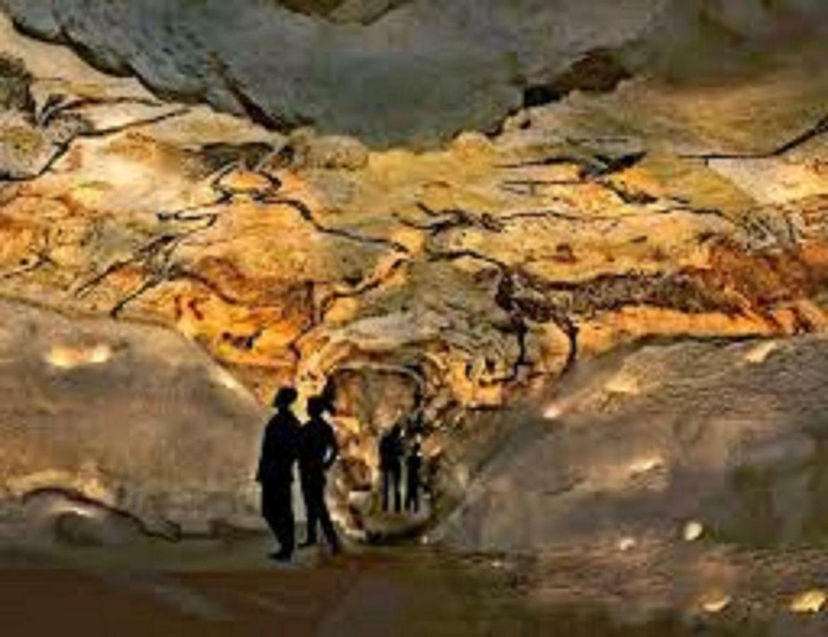 فيلا Les Pruniers De La Cipiere Peyzac-le-Moustier المظهر الخارجي الصورة