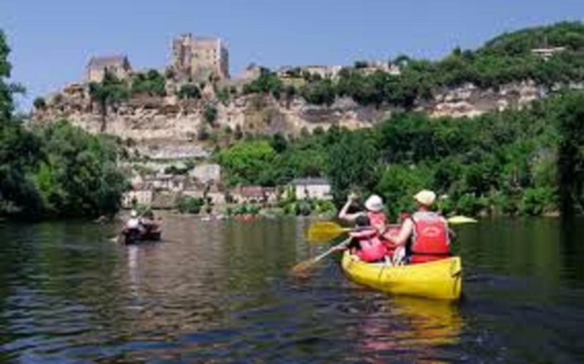 فيلا Les Pruniers De La Cipiere Peyzac-le-Moustier المظهر الخارجي الصورة